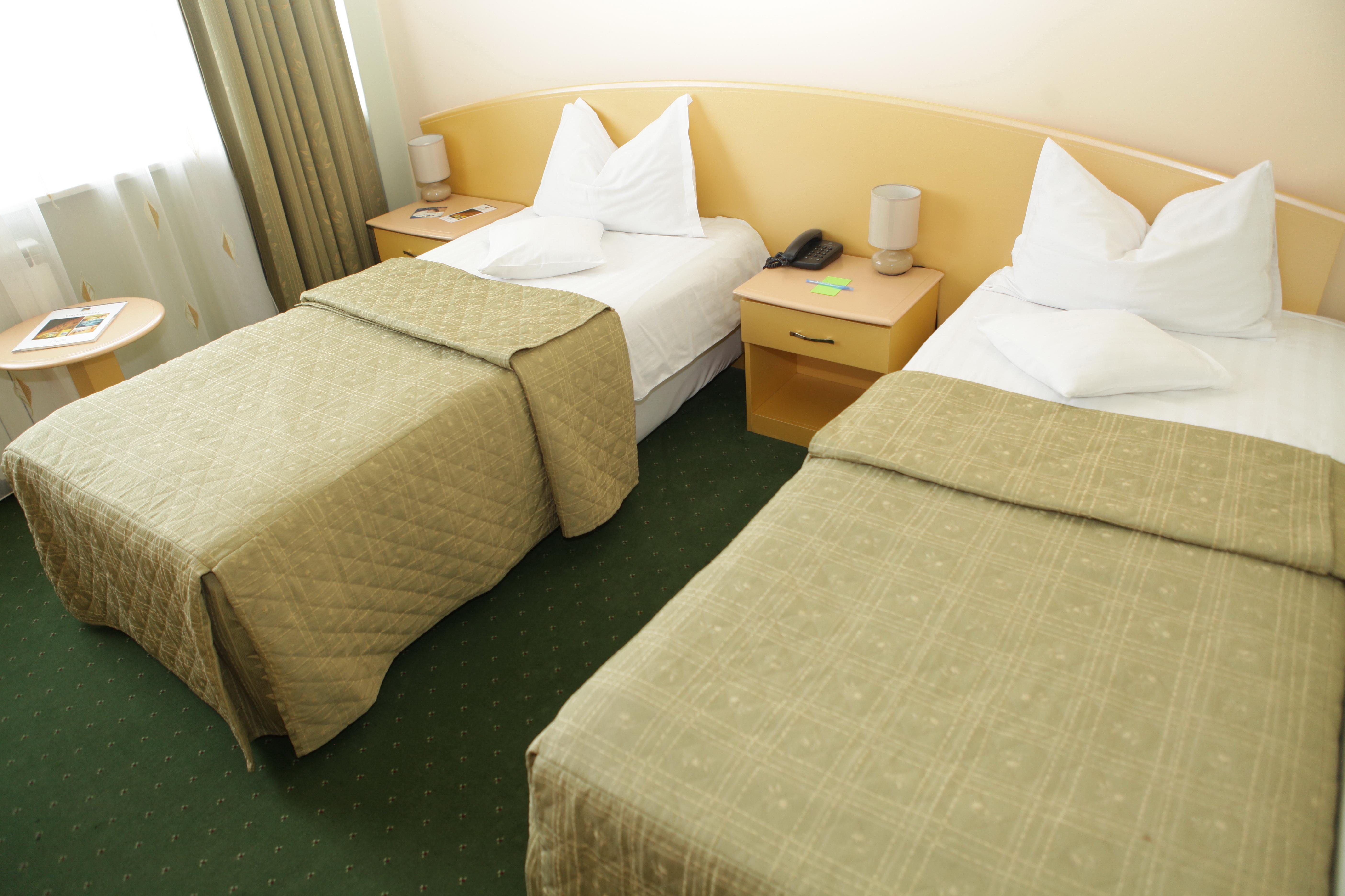 Eurohotel Hotel Baia Mare